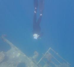 Alison diving to a sunk boat while surveying